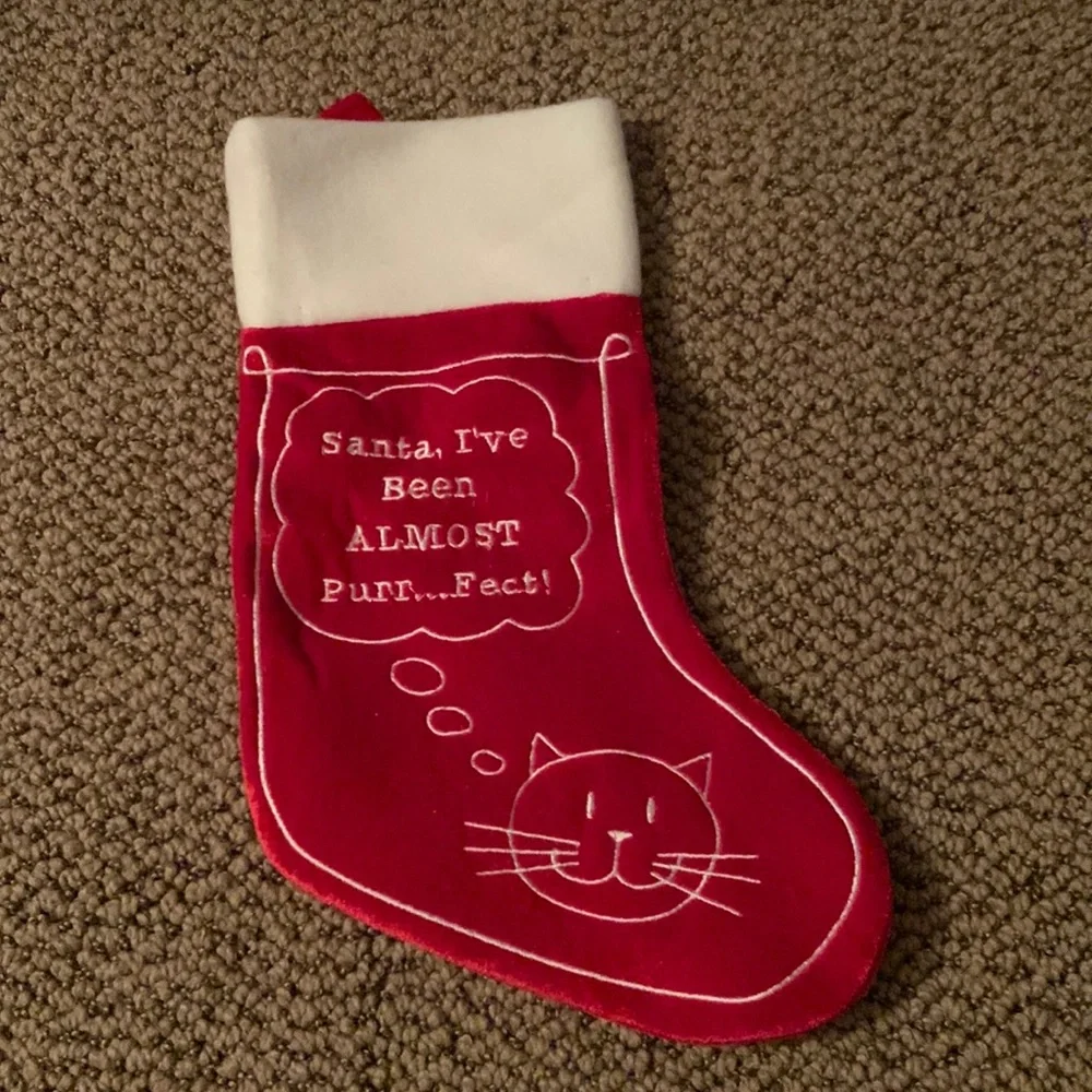 Santa Cat Stocking
